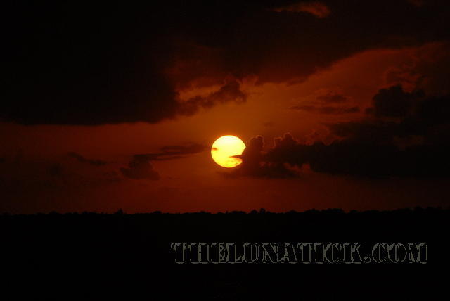 DSC 0617