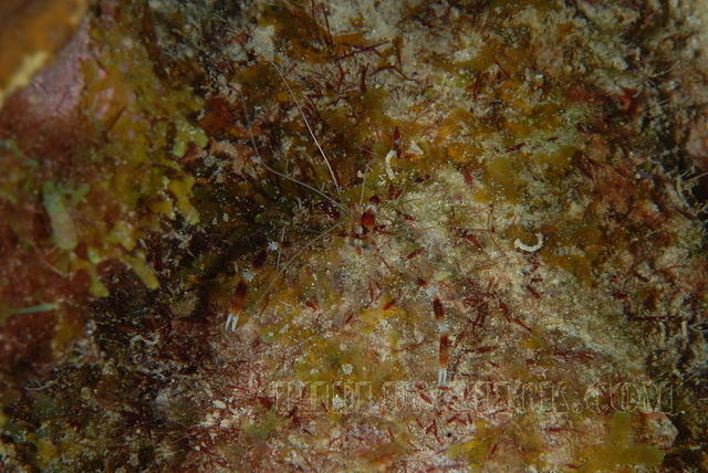 DSC 0660