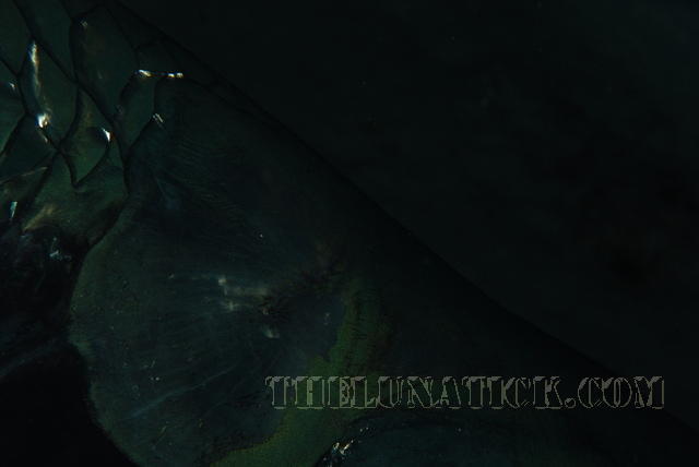 DSC 0709