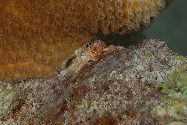 DSC 0724