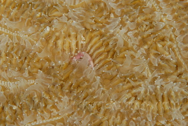 DSC 0730