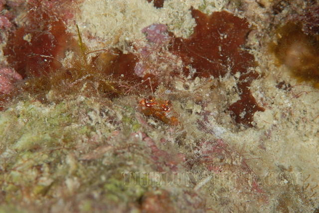 DSC 0736