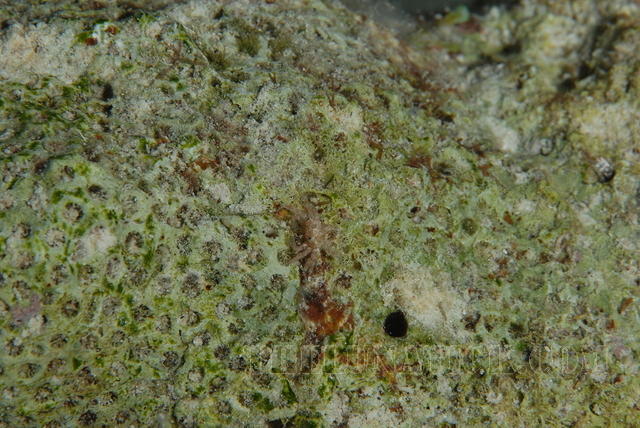 DSC 0755