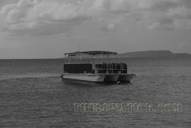 DSC 0851