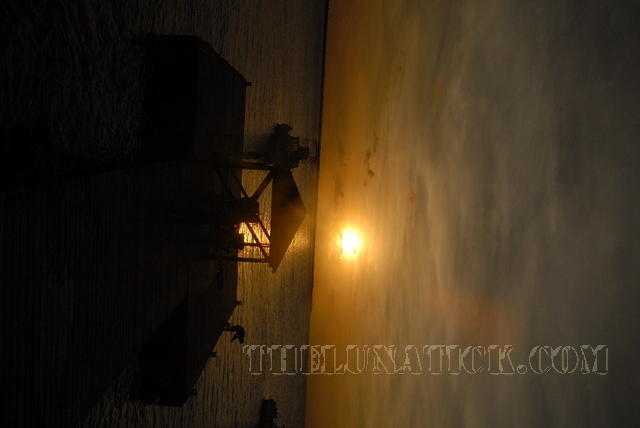 DSC 0855
