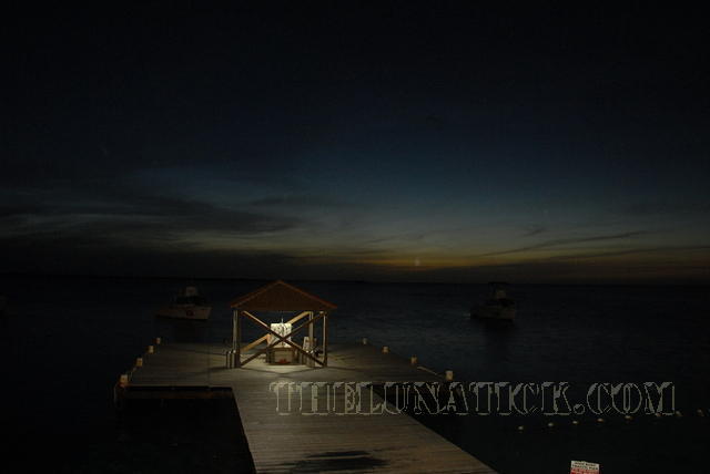 DSC 0875