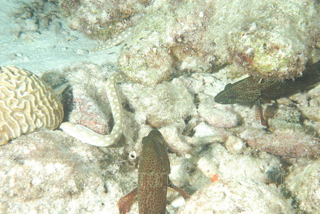 DSC 0939