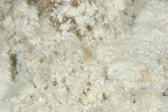DSC 0956