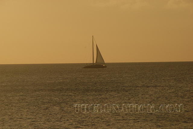 DSC 1074