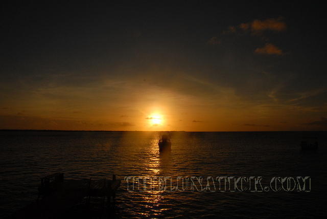 DSC 1082