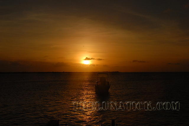 DSC 1084