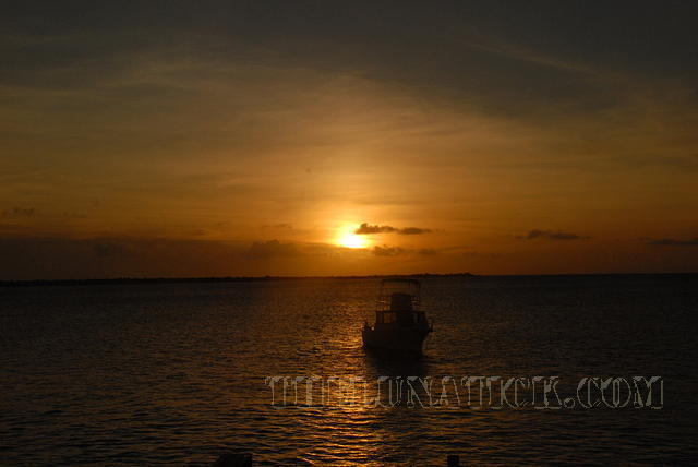 DSC 1085