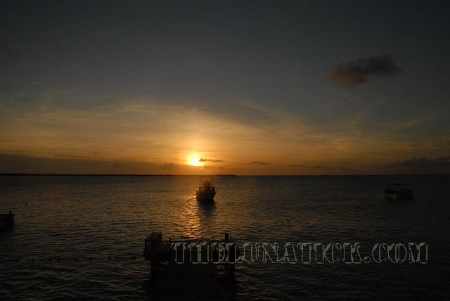 DSC 1086