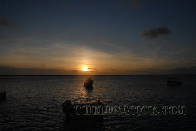 DSC 1087