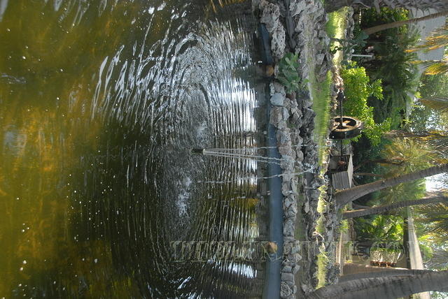 DSC 1094