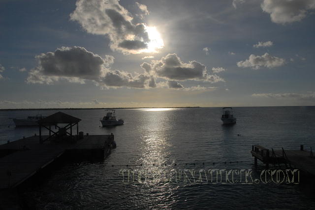 DSC 1099