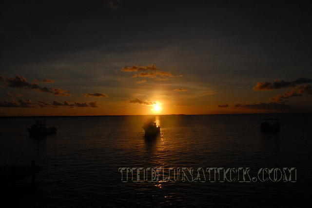 DSC 1104