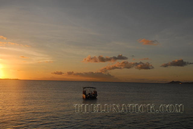 DSC 1107