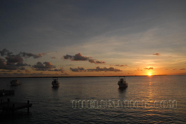 DSC 1115