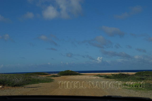 DSC 1139