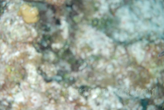 DSC 9484