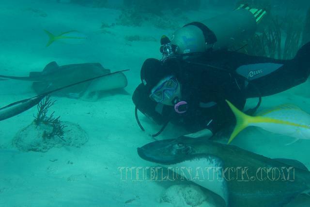 DSC 9994