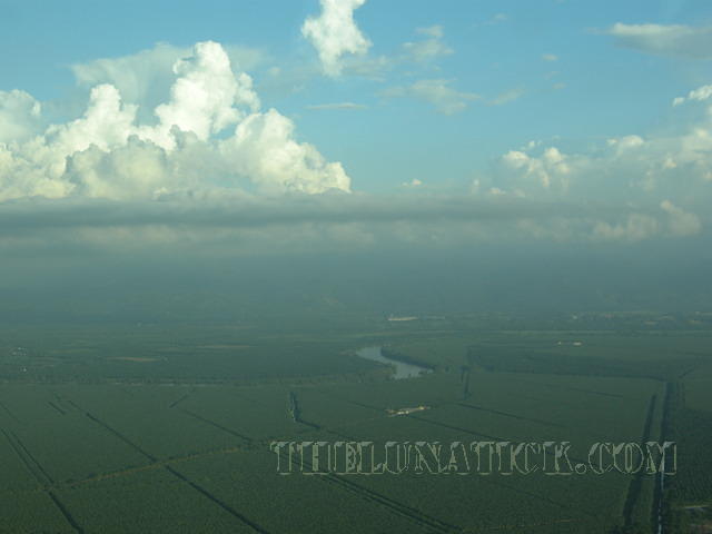 DSCN0955