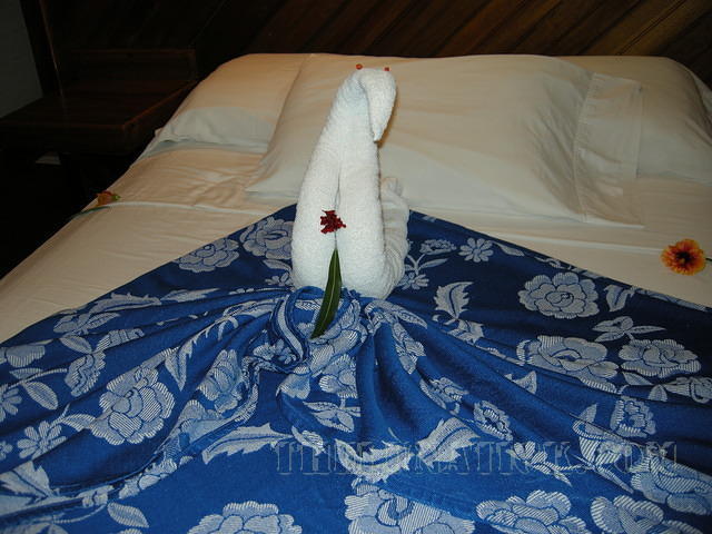 DSCN0976