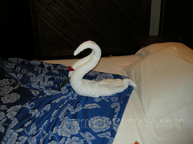 DSCN0977