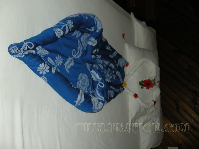 DSCN0978