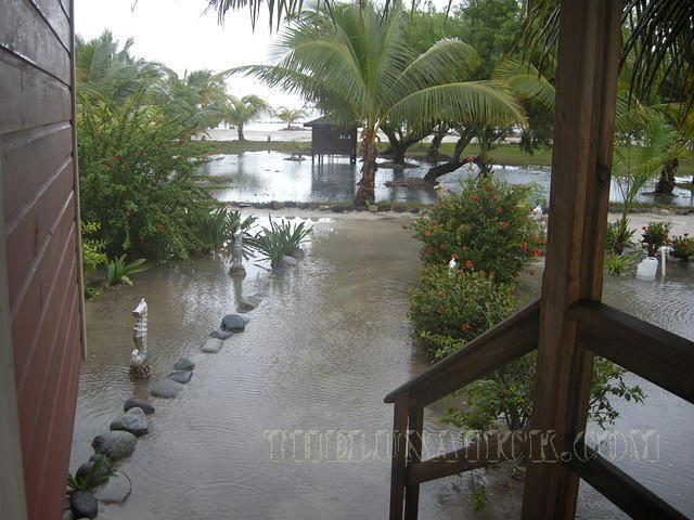 DSCN0982