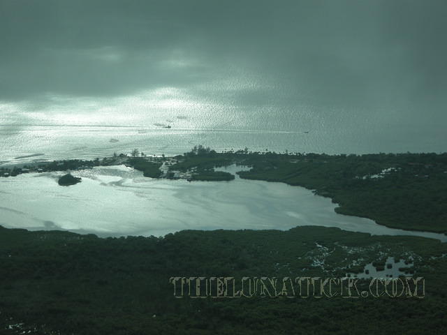 DSCN0988