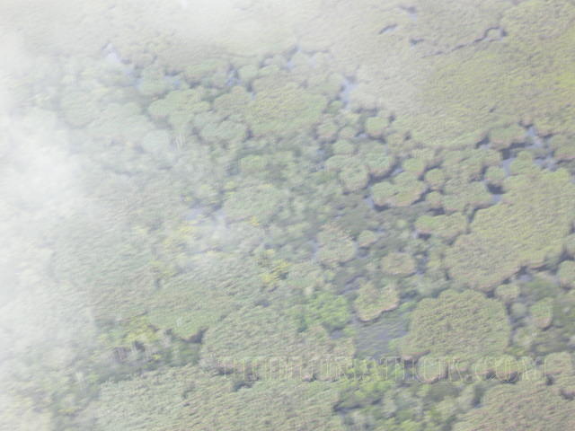 DSCN0991