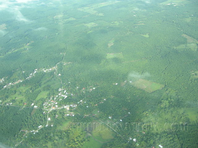 DSCN0998