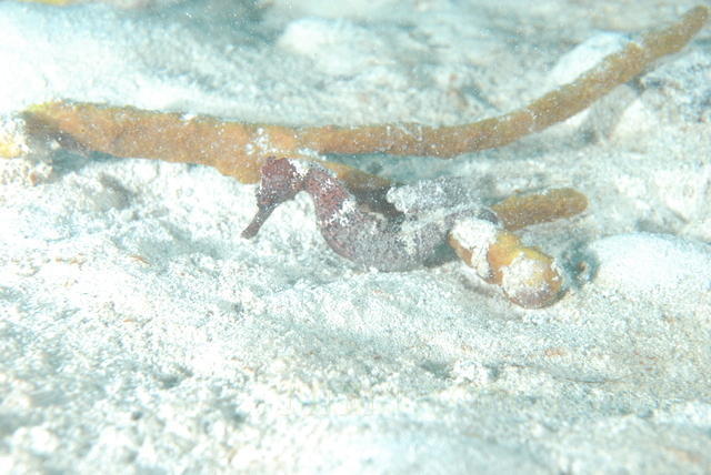 DSC 1355