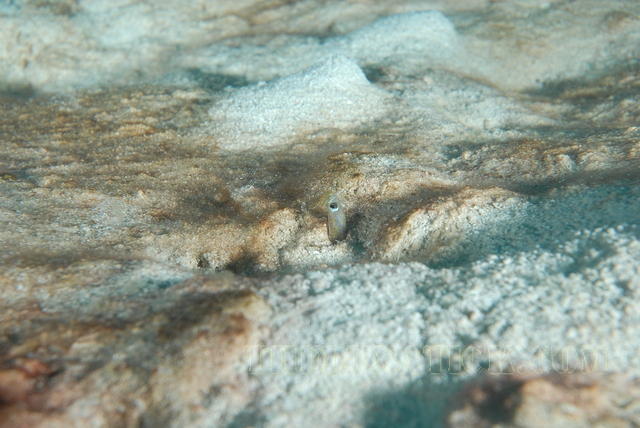 DSC 1361