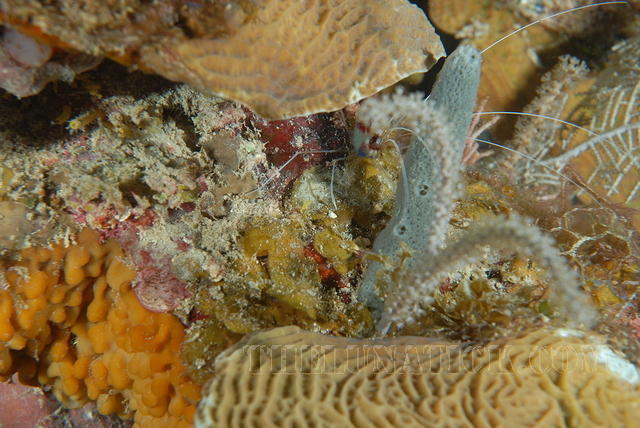 DSC 1397