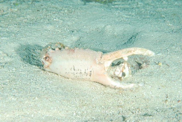 DSC 1435