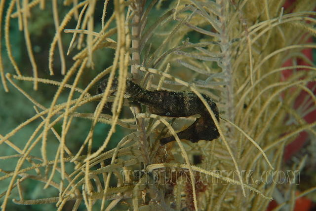 DSC 1489