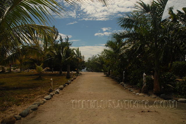 DSC 1502