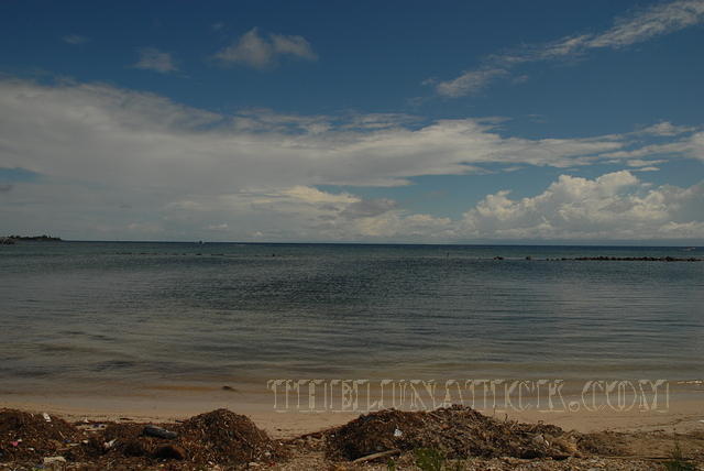 DSC 1503
