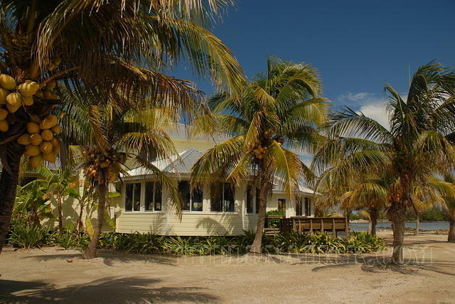 DSC 1510
