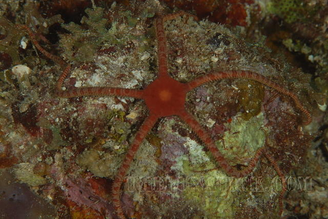 DSC 1519