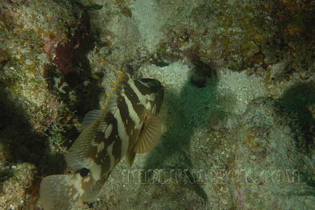 DSC 1571
