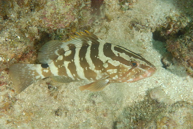 DSC 1573