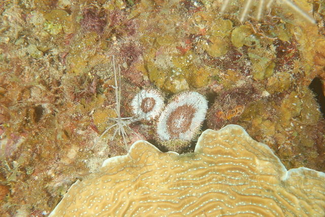 DSC 1591