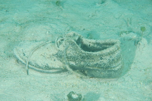 DSC 1637