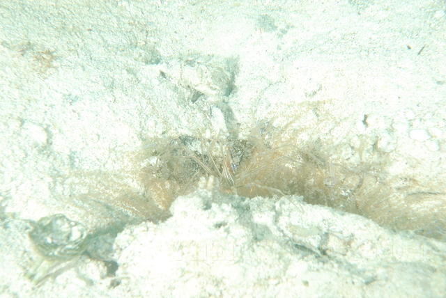 DSC 1638
