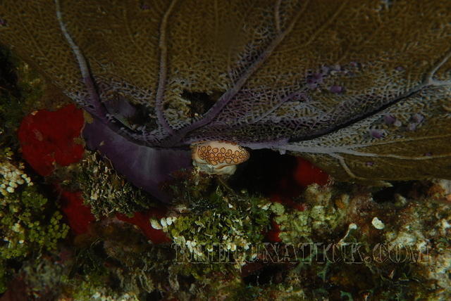DSC 1660
