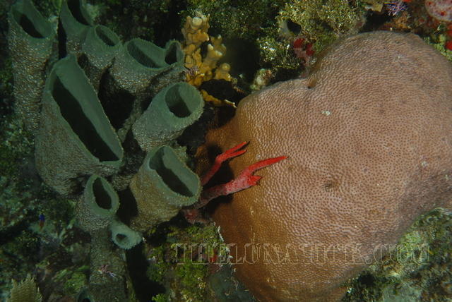 DSC 1661